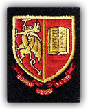 school badge